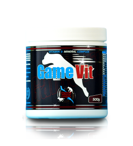 Game Vit