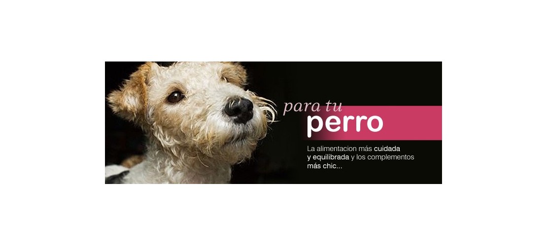 Alimento Y Complementos Para Perros